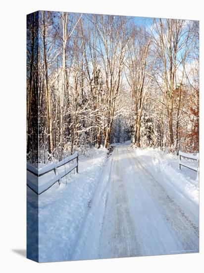 Winter Road in New England-Bill Bachmann-Premier Image Canvas