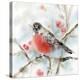 Winter Robin-Katrina Pete-Stretched Canvas