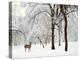 Winter's Breath-Jessica Jenney-Premier Image Canvas