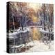 Winter’s Peace-Robert Moore-Stretched Canvas