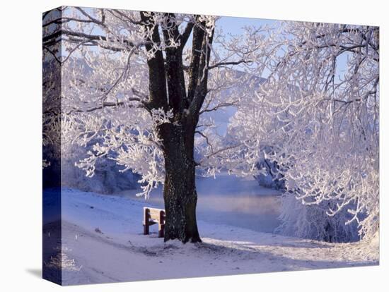 Winter Scene Beside the River Tay, Aberfeldy, Perthshire, Scotaland, UK-Kathy Collins-Premier Image Canvas