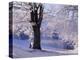 Winter Scene Beside the River Tay, Aberfeldy, Perthshire, Scotaland, UK-Kathy Collins-Premier Image Canvas