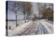 Winter Scene, Dalarne-Peder Mork Monsted-Premier Image Canvas