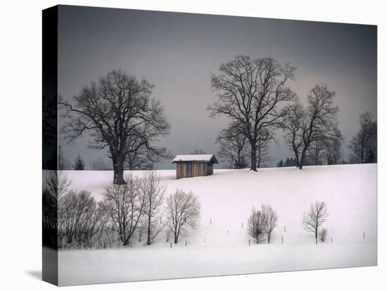 Winter Scene, Hill and Trees, Hut and Foreboding Sky-Sheila Haddad-Premier Image Canvas