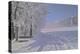 Winter Scene in Bavaria-Martina Bleichner-Stretched Canvas