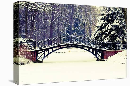 Winter Scene - Old Bridge in Winter Snowy Park-Gorilla-Premier Image Canvas