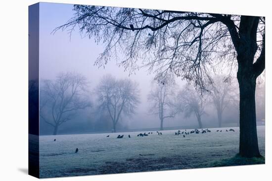 Winter Scene with a Flock of Birds Feeding on the Ground-Sharon Wish-Premier Image Canvas