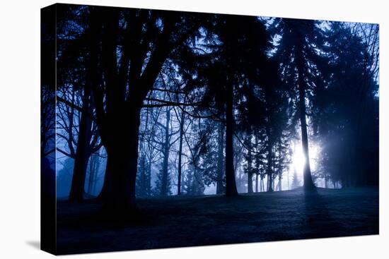 Winter Scene with Low Sunlight Shining Through Trees-Sharon Wish-Premier Image Canvas