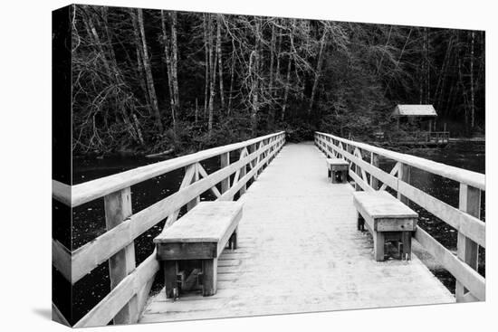 Winter Scene with Wooden Foot Bridge-Sharon Wish-Premier Image Canvas