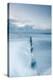 Winter Seascape-David Baker-Premier Image Canvas