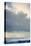 Winter Seascape-David Baker-Premier Image Canvas