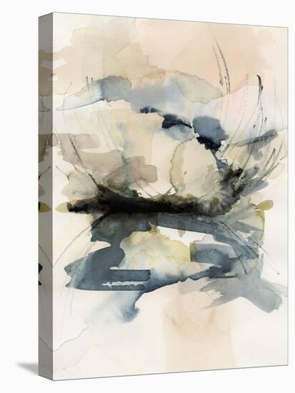 Winter Shoal I-Victoria Barnes-Stretched Canvas