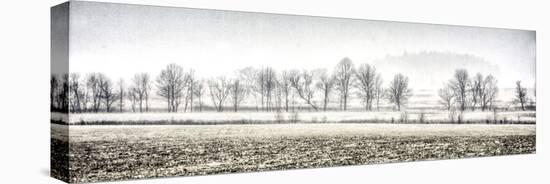 Winter Silence-Todd Ridge-Stretched Canvas