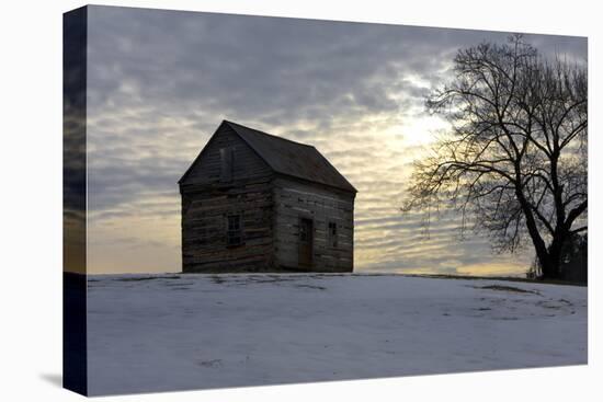 Winter Sky I-Alan Hausenflock-Premier Image Canvas