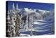 WINTER SNOW SCENE STEEPLE ROCK OLYMPIC NATIONAL PARK WASHINGTON USA-Panoramic Images-Premier Image Canvas