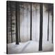 Winter Solace-Patrick St^ Germain-Stretched Canvas