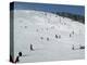 Winter Sports at Feldberg, Black Forest, Baden-Wurttemberg, Germany, Europe-Hans Peter Merten-Premier Image Canvas