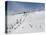 Winter Sports at Feldberg, Black Forest, Baden-Wurttemberg, Germany, Europe-Hans Peter Merten-Premier Image Canvas