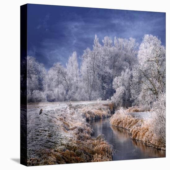 Winter Stream-Philippe Sainte-Laudy-Premier Image Canvas