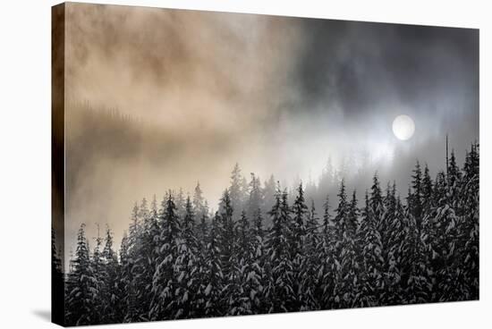 Winter Sun-Ursula Abresch-Premier Image Canvas