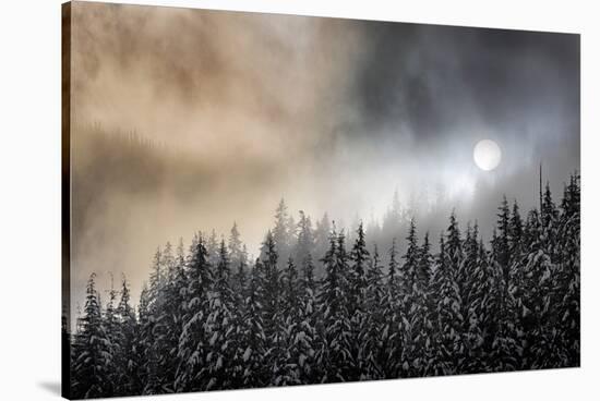 Winter Sun-Ursula Abresch-Premier Image Canvas