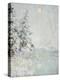 Winter Sun-Walter Launt Palmer-Premier Image Canvas