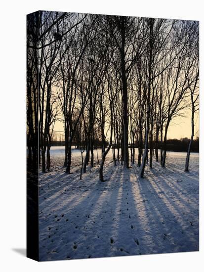 Winter Sunrise and Snow Covered Rural Landscape in the Countryside, Arrow Valley, Worcestershire, E-David Hughes-Premier Image Canvas