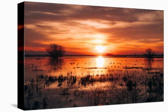 Winter Sunset at Merced Wildlife Refuge, California-null-Premier Image Canvas