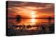 Winter Sunset at Merced Wildlife Refuge, California-null-Premier Image Canvas