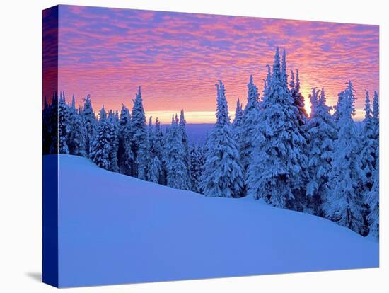 Winter Sunset, Mt Spokane State Park, Washington, USA-Charles Gurche-Premier Image Canvas