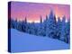 Winter Sunset, Mt Spokane State Park, Washington, USA-Charles Gurche-Premier Image Canvas