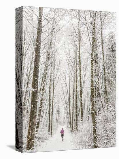Winter Trail Running-Steven Gnam-Premier Image Canvas