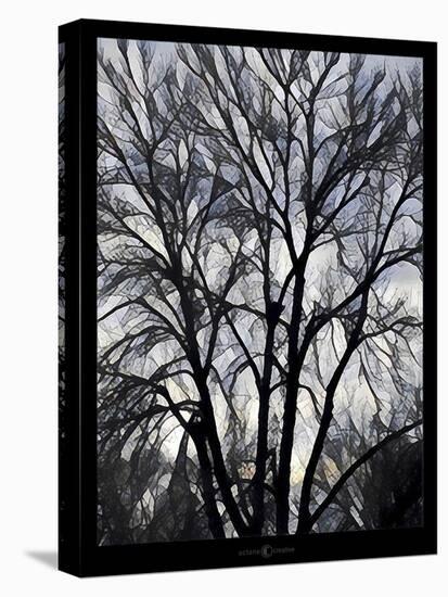 Winter Tree 2-Tim Nyberg-Premier Image Canvas