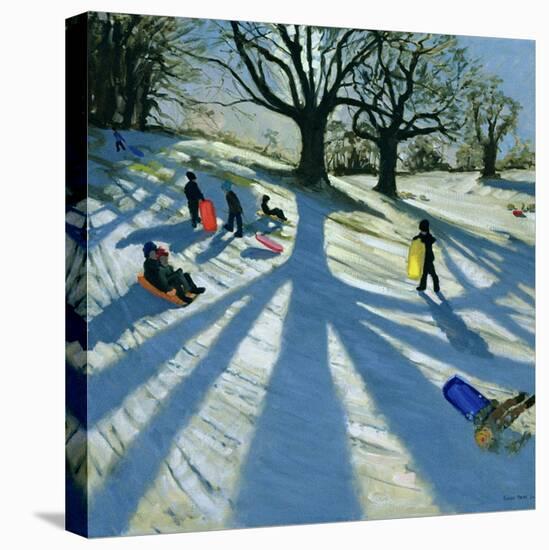 Winter Tree, Snow Sledgers, Calke Abbey, Derby-Andrew Macara-Premier Image Canvas