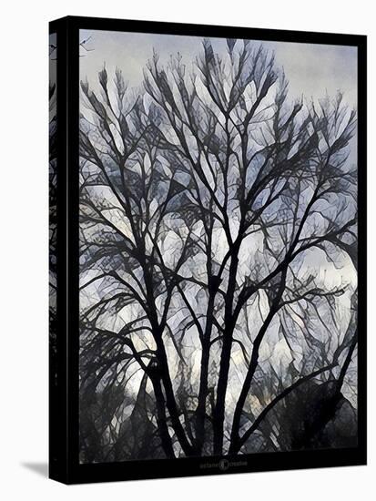 Winter Tree-Tim Nyberg-Premier Image Canvas