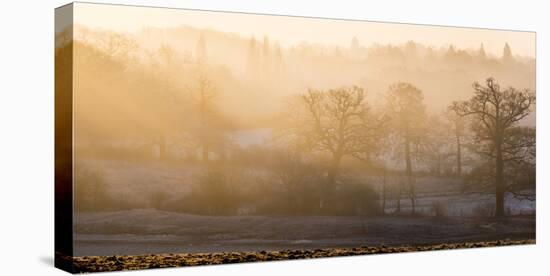 Winter trees in misty panorama, Surrey, England, United Kingdom, Europe-Charles Bowman-Premier Image Canvas