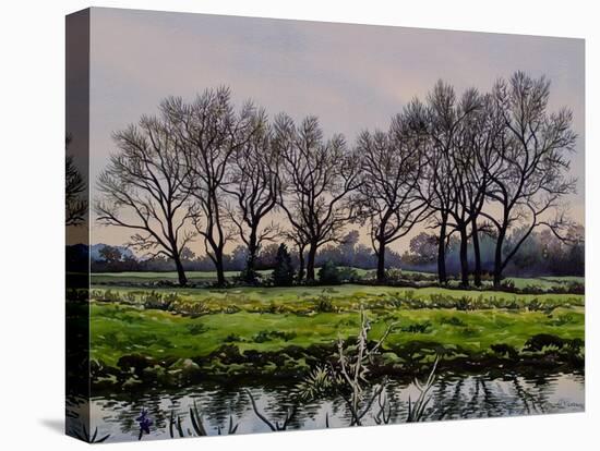Winter Trees-Christopher Ryland-Premier Image Canvas