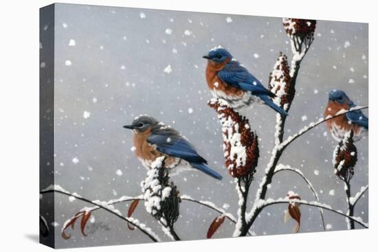 Winter Trio-Wilhelm Goebel-Premier Image Canvas