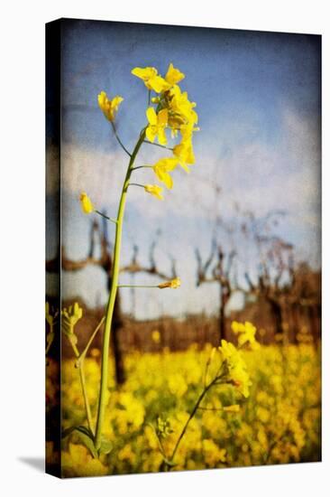 Winter Vines-Jessica Rogers-Premier Image Canvas