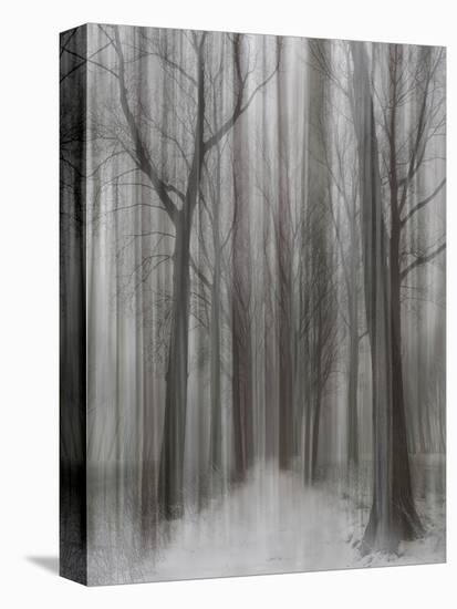 Winter Walz-Yvette Depaepe-Premier Image Canvas