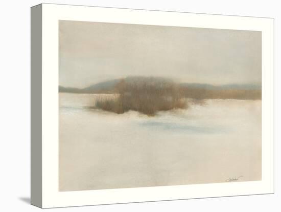 Winter Willows-Sammy Sheler-Stretched Canvas