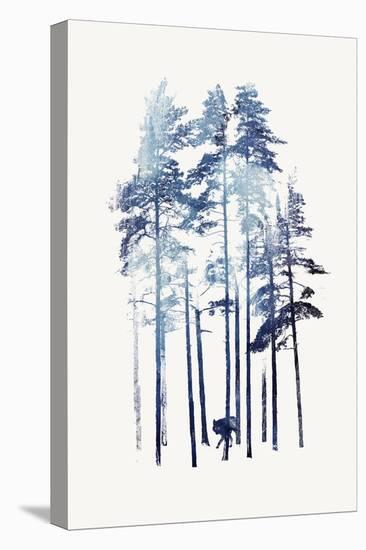 Winter Wolf-Robert Farkas-Premier Image Canvas