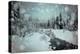 Winter Wonderland I-Elizabeth Urquhart-Stretched Canvas