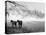 Winter Wonderland: Snow Scene in the Lake District, January 1946-null-Premier Image Canvas