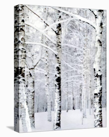 Winter Wonderland-Parker Greenfield-Stretched Canvas