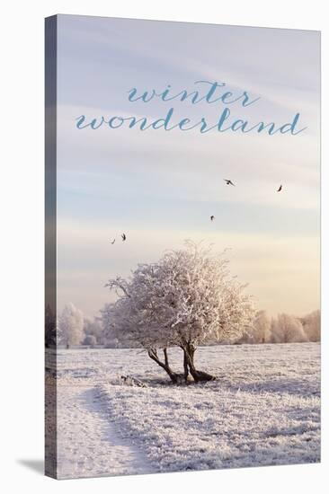 Winter Wonderland-Sarah Gardner-Stretched Canvas