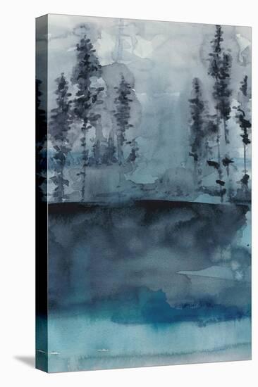 Winter Woods I-Chariklia Zarris-Stretched Canvas