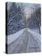 Winter Woods-Bruce Dumas-Premier Image Canvas