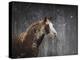 Winters Arrival Horse-Jai Johnson-Premier Image Canvas