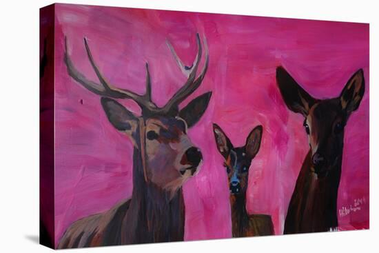 Winters Deer Family with Fawn and Hind-Markus Bleichner-Stretched Canvas